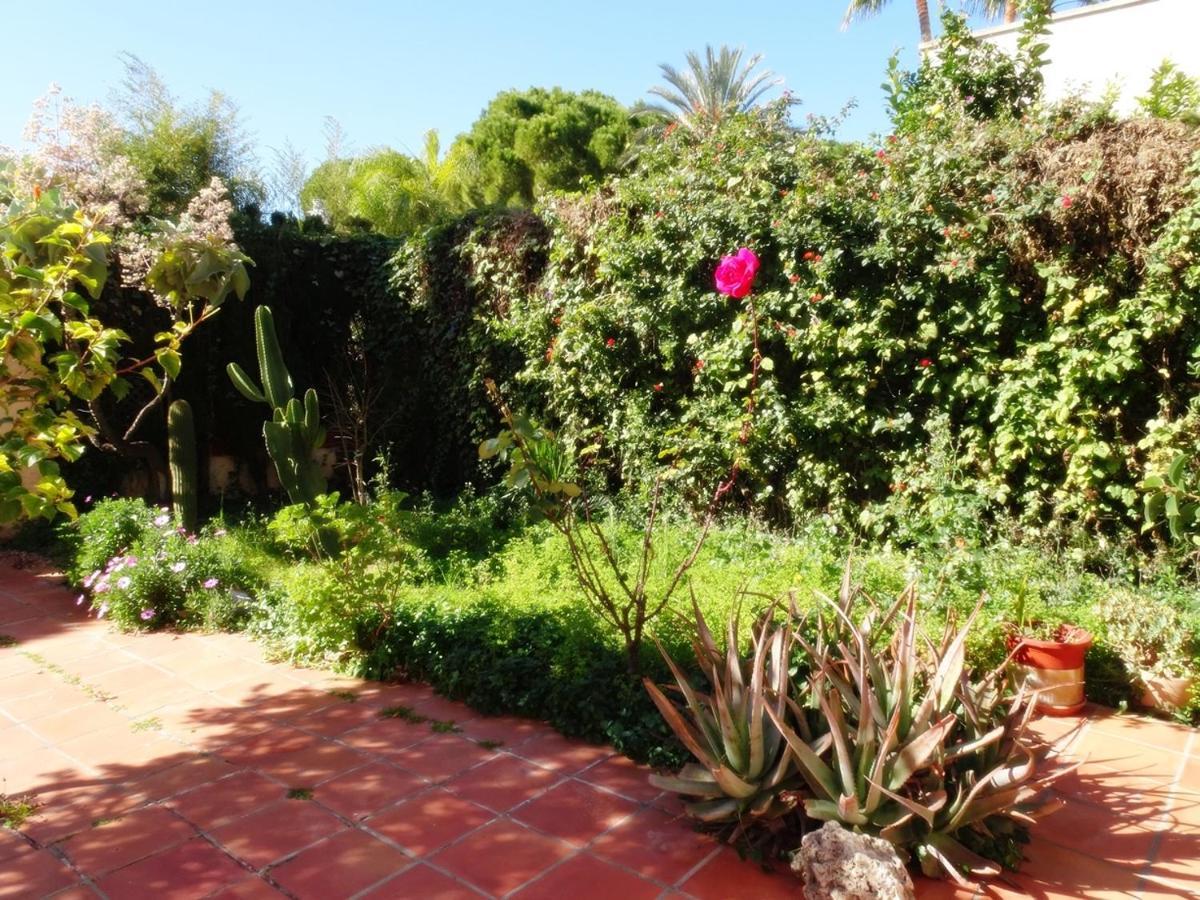 Villa Del Duque, Gandia - Playa de Gandia Eksteriør bilde